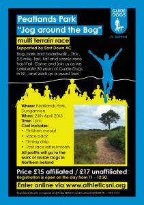 Race Flyer for Facebook small